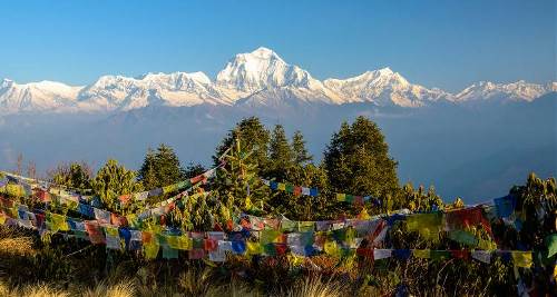 Annapurna Poon Hill Trek (On The Go)