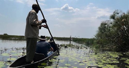 Chobe & Okavango Discovery (On The Go)
