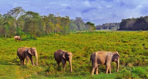 Nepal to Golden Triangle & Goa (On The Go)