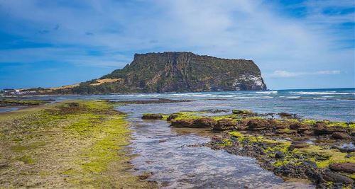 Seoul to Busan & Jeju (On The Go)