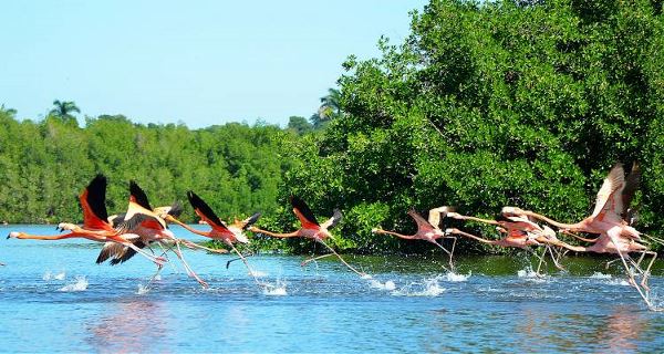 Cuba Uncovered (On The Go)