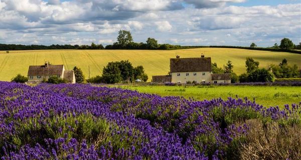 Ancient Greece & Western Balkans (On The Go)