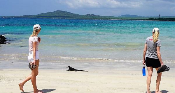 Galapagos Islands Explorer (On The Go)