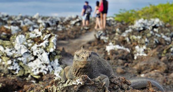 Galapagos Islands Family Adventure (On The Go)