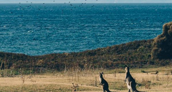 Tasmania Wilderness & Coast Discovery (On The Go)