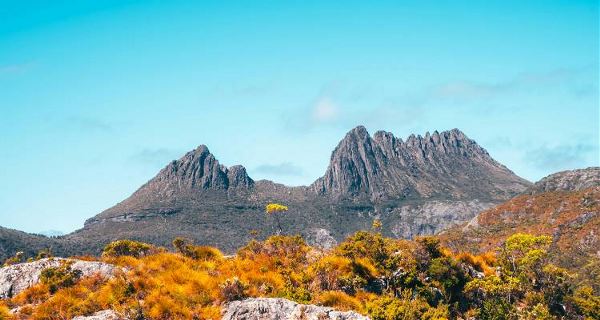 Grand Tasmania Explorer (On The Go)