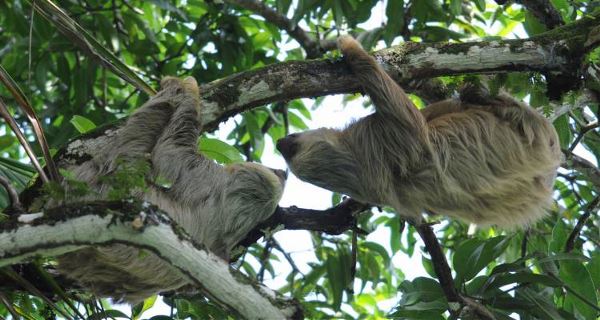 Captivating Costa Rica (On The Go)