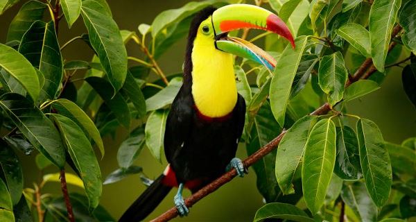 Landscapes of Costa Rica (On The Go)