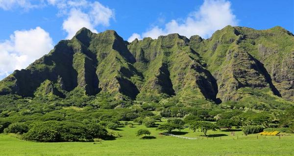 Hawaii Oahu Explorer (On The Go)