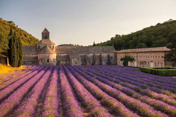 Ultimate Southern France (Insight Vacations Luxury Gold)