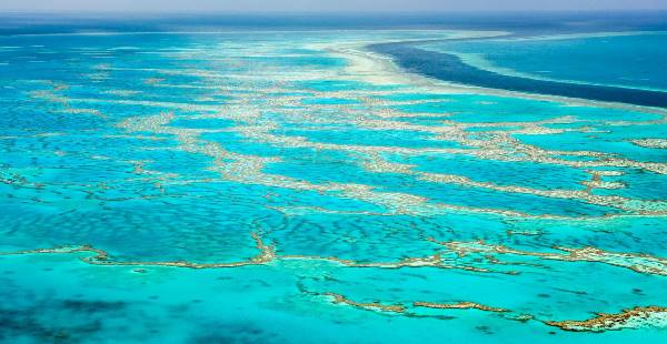 Tropical Cairns and the Great Barrier Reef (Costsaver)