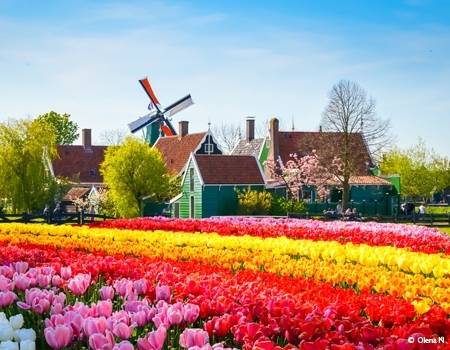 Nederland en de tulpen (formule haven/haven) (Croisi Europe)