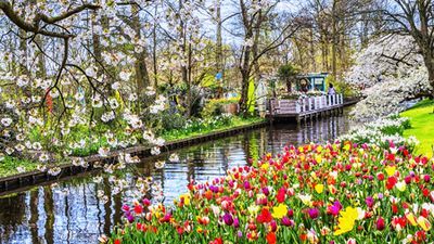 The romantic Rhine valley and Holland (port-to-port cruise) (CroisiEurope)