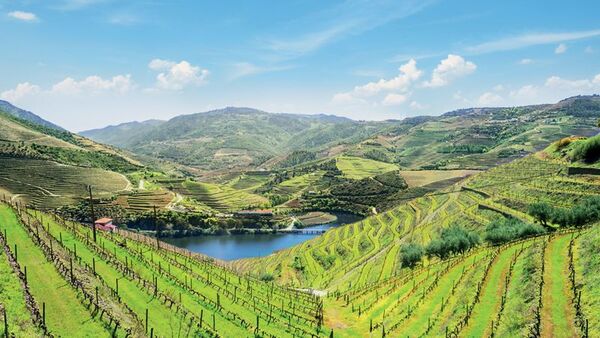 Cruise and Hikes in The Douro Valley, A Nature Lover's Dream (port-to-port cruise) (CroisiEurope)