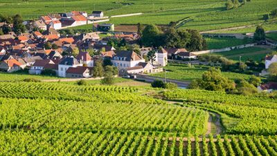 Fine Food and Wines on a Cruise through the Burgundy Region (port-to-port cruise) (CroisiEurope)