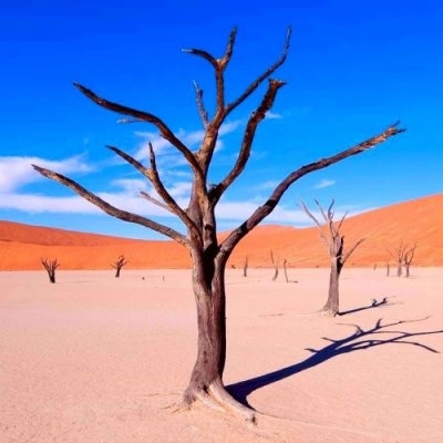 Hoogtepunten van Namibië (Nrv Holidays)