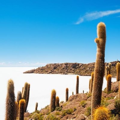 Hoogtepunten van Bolivia & Peru (Nrv Holidays)