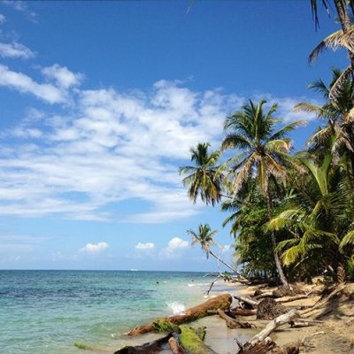 Costa Rica Strand & Natuur aan de Caribische Kust (Nrv Holidays)