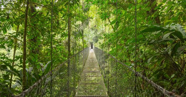 Highlights of Costa Rica (Explore!)