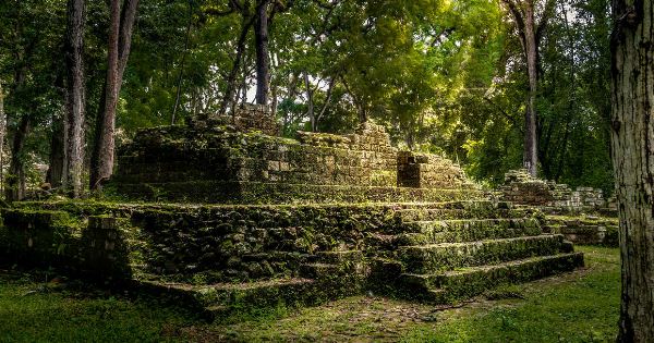 Central American Explorer (Explore!)