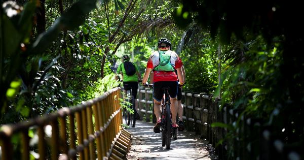 Bangkok to Saigon by Bike (Explore!)