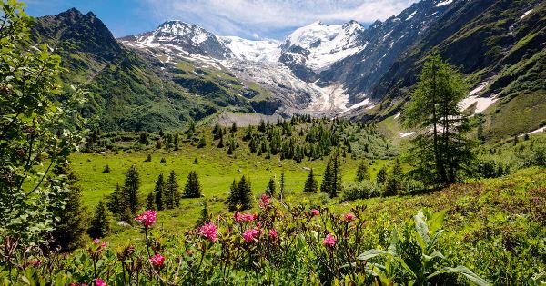 Tour du Mont Blanc Trek (Explore!)