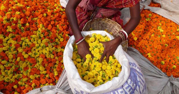 Kolkata to Amritsar (Explore!)