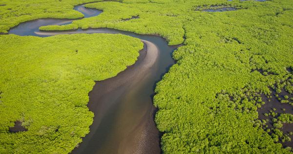 Senegal and The Gambia (Explore!)