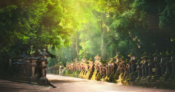 Walk Japan - Kumano Kodo Trail (Explore!)