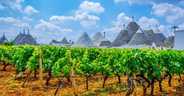 Highlights of Puglia (Explore!)