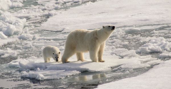 Journey to the Geographical North Pole - Le Commandant Charcot (Explore!)