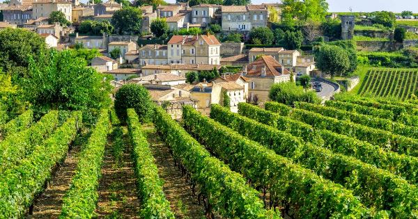 A Taste of Southern France  - Bordeaux to Carcassonne (Explore!)