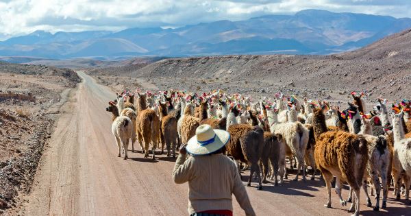 Best of Argentina, Bolivia and Chile (Explore!)