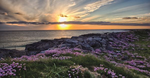 Wild Scotland - Douglas Mawson (Explore!)