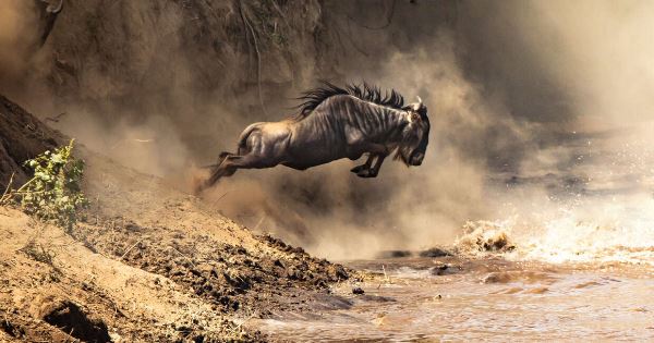Upgraded - Highlights of Kenya (Explore!)