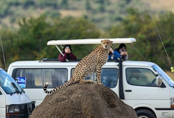 Safari Kenia Highlights Deluxe (333 Travel)