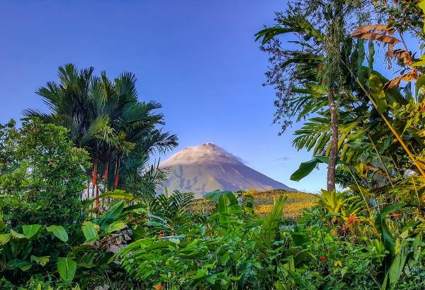 Best Deal Costa Rica Nevelwouden en Vulkanen (333 Travel)