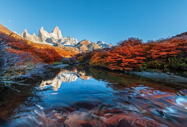 Highlights Vuurland en Gletsjers van Patagonië (333 Travel)