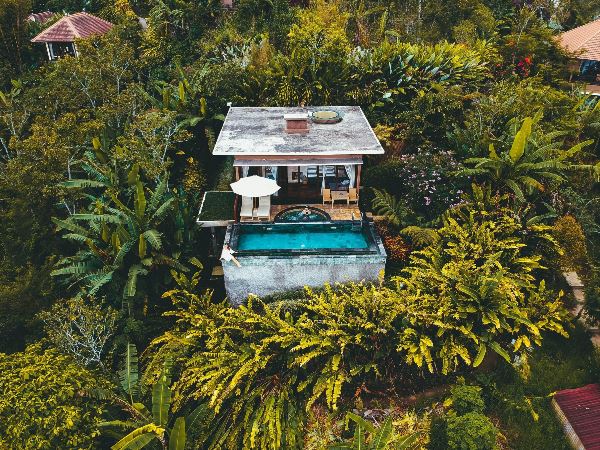 Sawa Reis Bali (Van Verre)