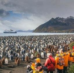 Groepsrondreis Antarctica en South Georgia - pinguinsafari (Sawadee)