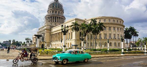 Kuba: Cohiba (Chamäleon)