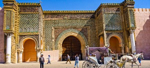 Marokko: Indigo (Chamäleon)