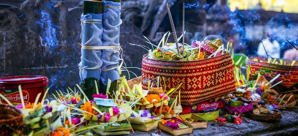 Indonesien: Komodo (Chamäleon)