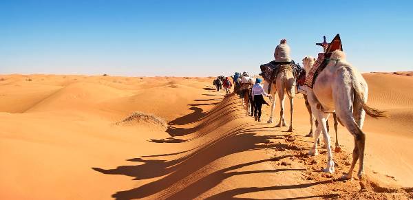 Im Takt der Beduinen – Kameltrekking durch die Sahara (Wikinger)