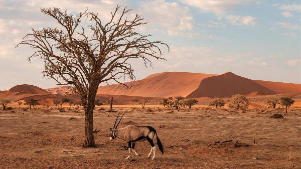 Namibias Naturschauspiele (Wikinger)