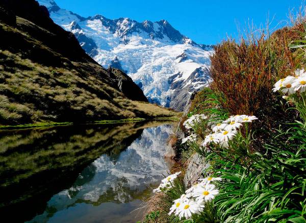 Neuseelands Trekkingparadiese (Wikinger)