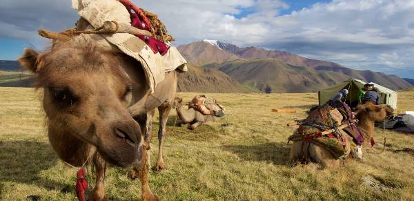 Auf Nomadenpfaden durch das Land des Dschingis Khan (Wikinger)