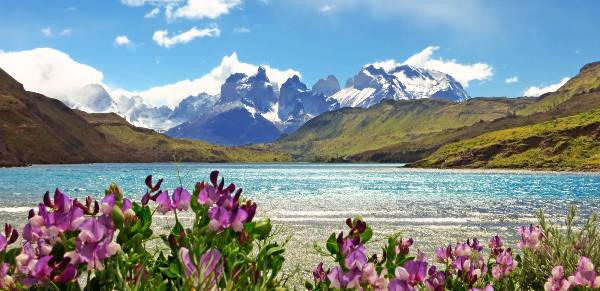 Höhepunkte Patagoniens (Wikinger)