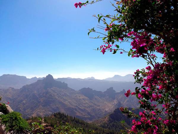 Die grandiose Bergwelt Gran Canarias (Wikinger)