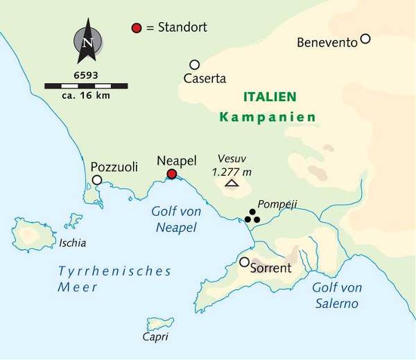 Map: Natur- & Kulturwoche in Neapel (Wikinger)